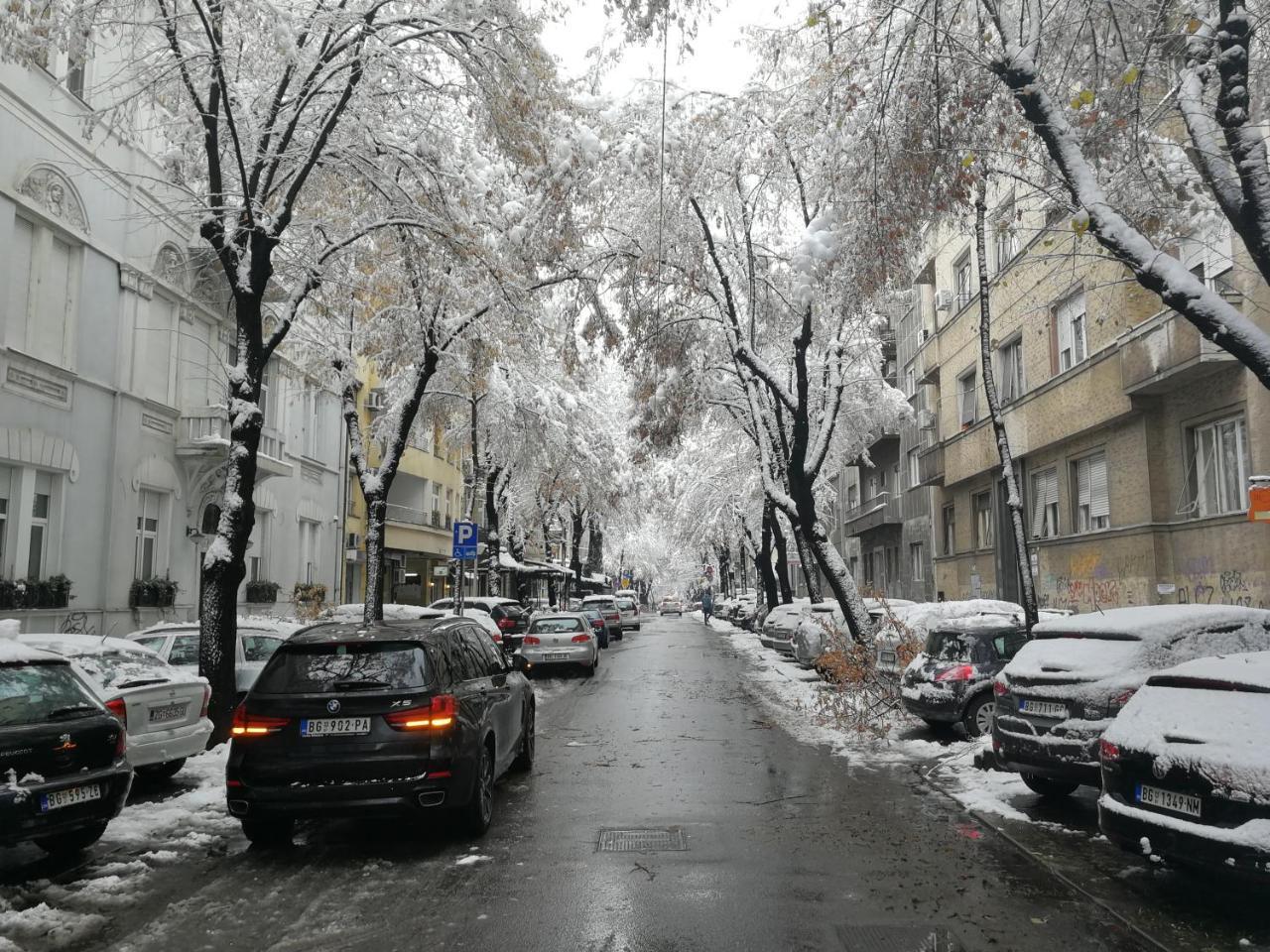 Belgrade City Center , Light Of Dorcol Eksteriør bilde